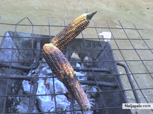 oya chop corn - click for next photo