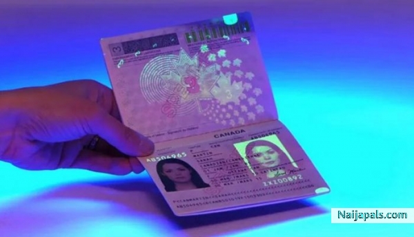 Buy Real And Fake Passport Online - http://quickydocs.com - click for next photo