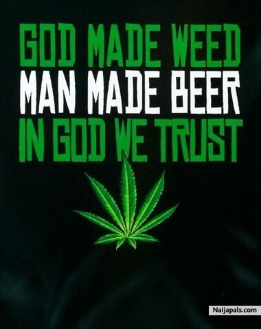 weed - click for next photo