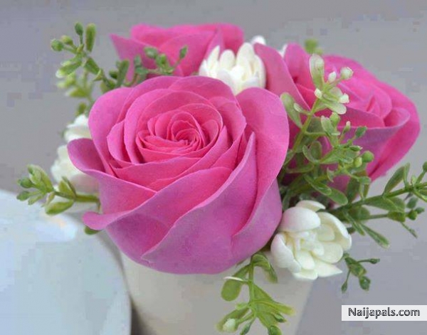 love flowers - click for next photo