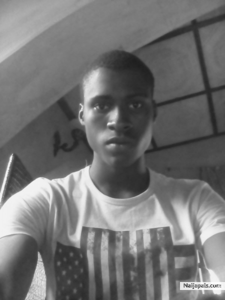 new look - click for next photo
