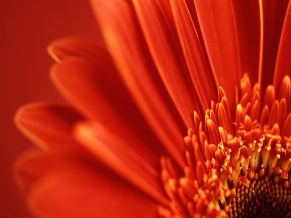 The sence of clours - click for next photo