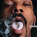 4 real - click for next photo