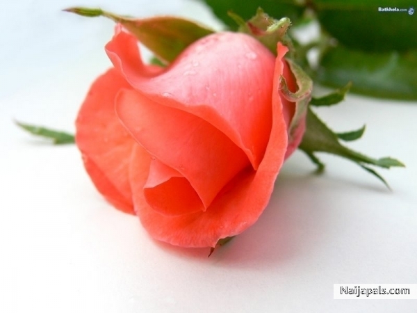 loving you - click for next photo