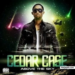 everytime we touch slow -by -cedar case