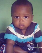 my boy - click for next photo