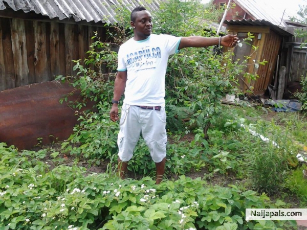  - click for next photo