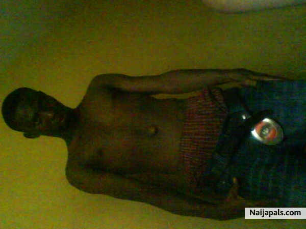  - click for next photo