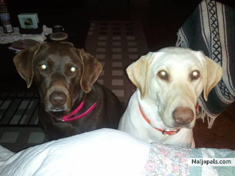 Max parents - click for next photo