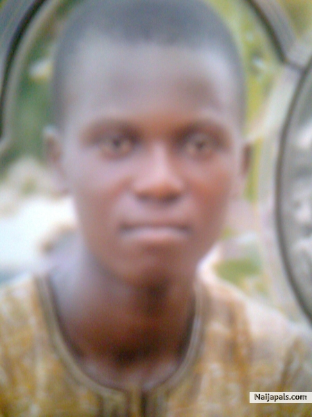  - click for next photo
