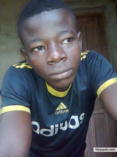 Ariwa - click for next photo