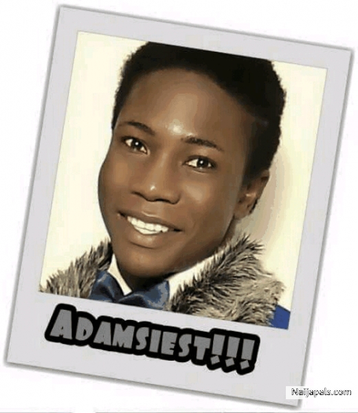 Adamsiest - click for next photo