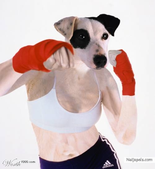 WORLD CHAMP... - click for next photo