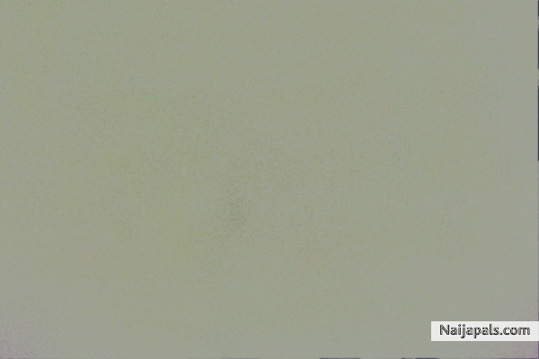 nothing! - click for next photo