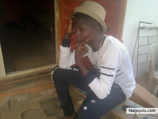 donzino1