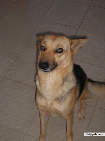 Jacky - click for next photo