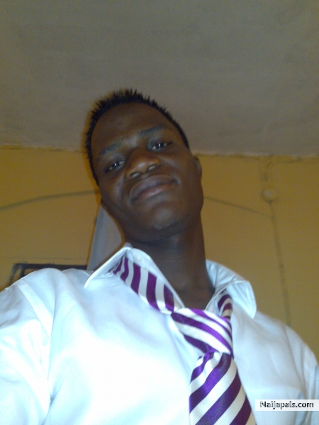 Hush King - click for next photo