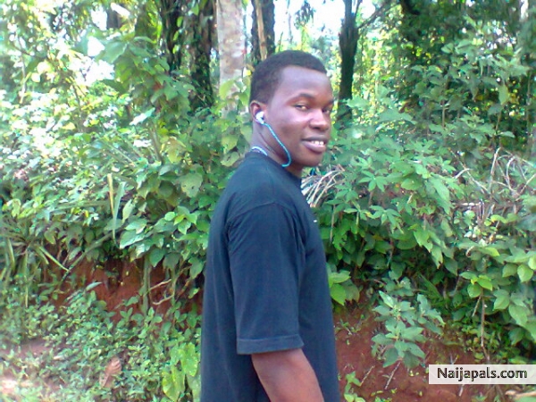 cool - click for next photo