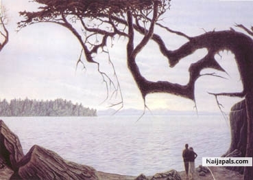 theres a baby in this picture............... figure it out! found the baby? - click for next photo