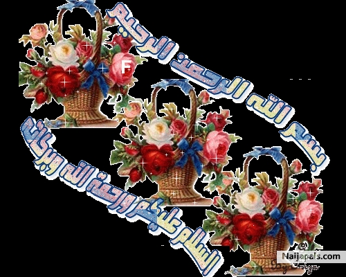 gif - click for next photo