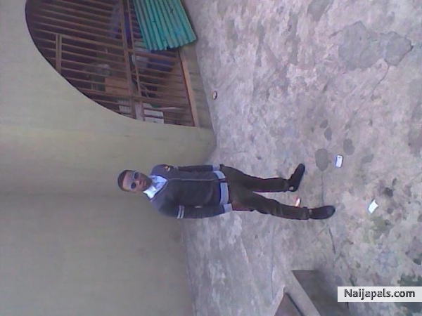 ama boss - click for next photo