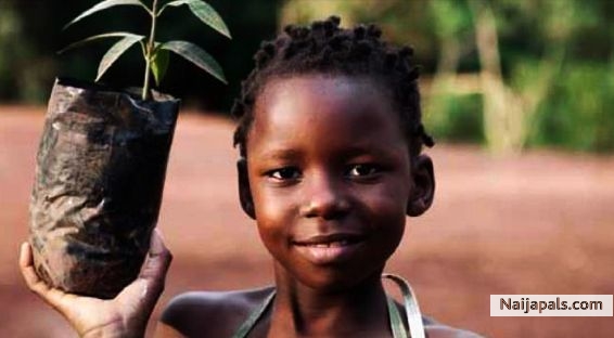 plant 10 trees and care about harvesting only 75 fruits. - click for next photo