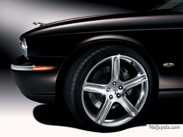 jaguar - click for next photo