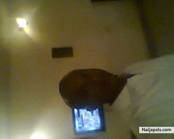  - click for next photo