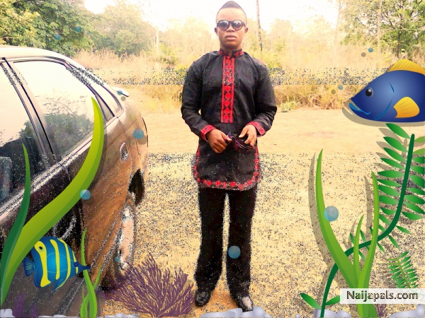  - click for next photo