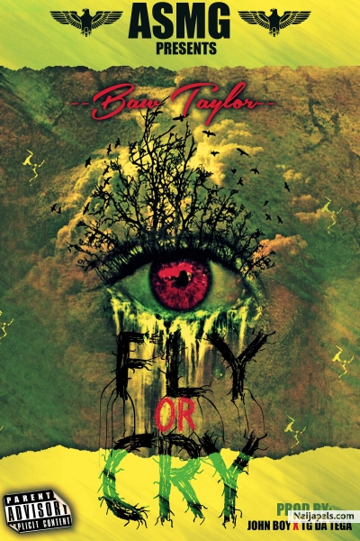 Fly Or Cry︻╤─