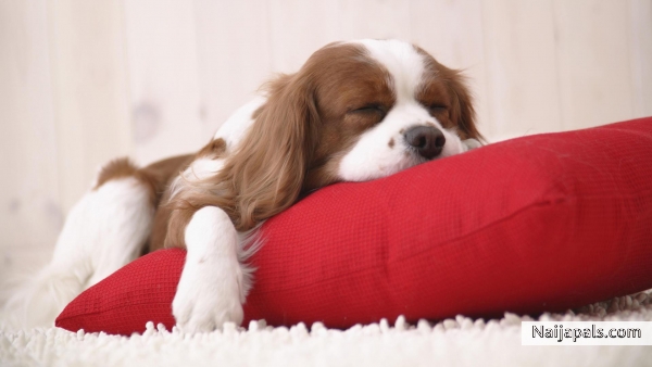 D BEST TIN U CAN DO IS SLEEP WELL!! - click for next photo