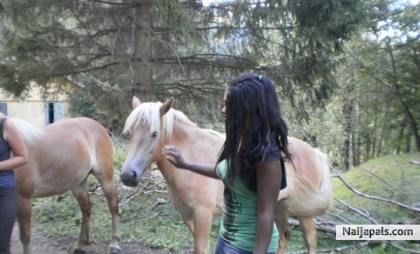  - click for next photo