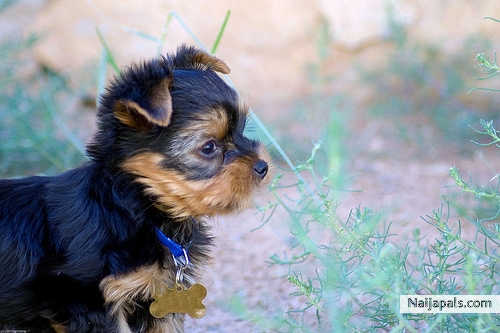 Cute Eh??? - click for next photo