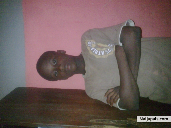  - click for next photo