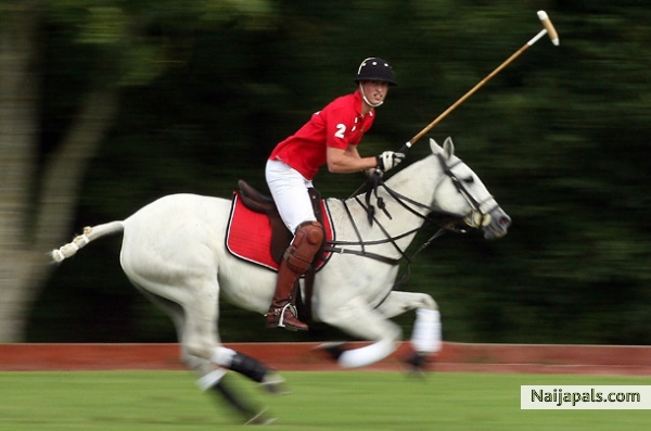 love this GAME! - click for next photo