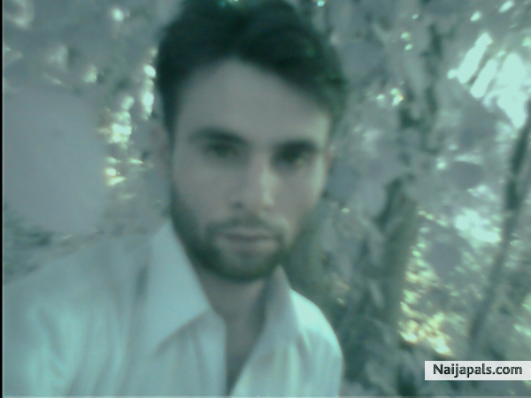 i m smart isnt it - click for next photo