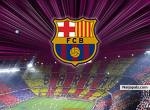 BARCA4LIFE - click for next photo