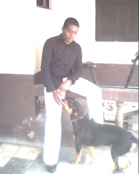 feed the dogz - click for next photo