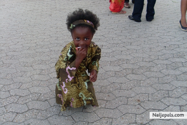 dorcas - click for next photo