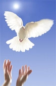 You are snared by the words of your mouth; You are taken by the words of your mouth. Proverbs 6:2 - click for next photo
