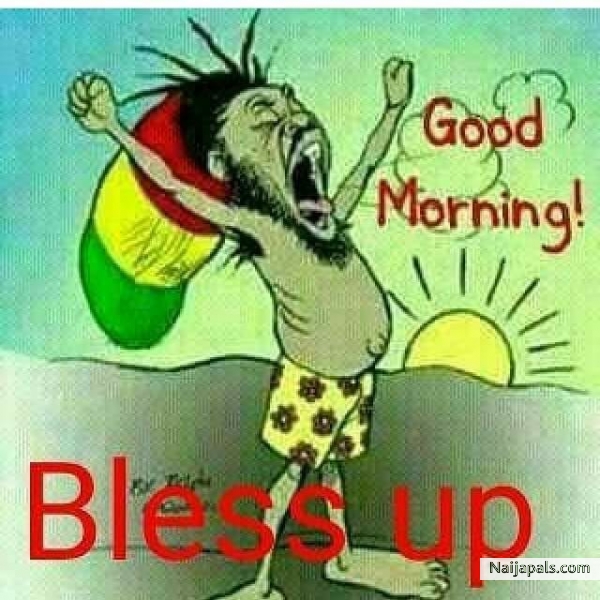 Bless Up - click for next photo