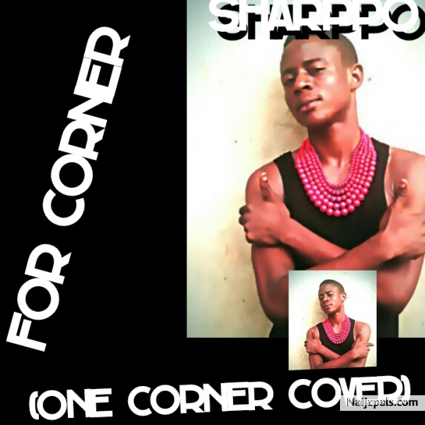 For Corner ( One Corner Cover)
