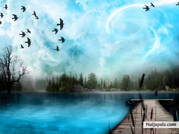 NATURE IS GOOD..! - click for next photo