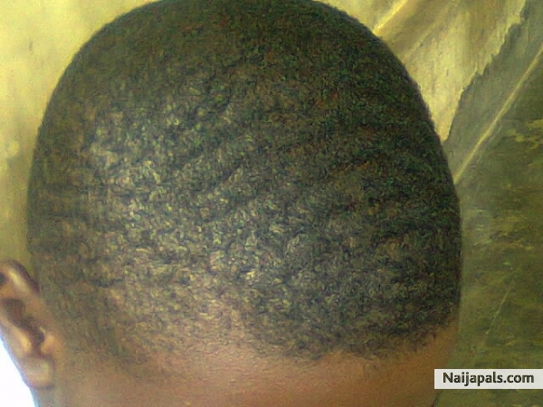  - click for next photo