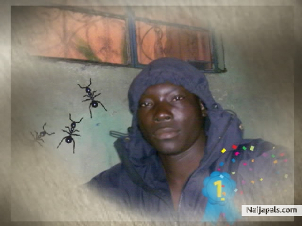  - click for next photo
