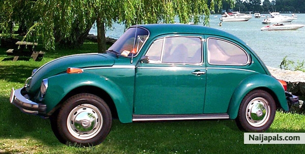 Bug - click for next photo