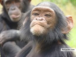 I THINK AM BEAUTIFUL LIKE OTHER GIRLS? - click for next photo