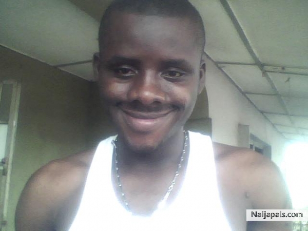 Bayo - click for next photo