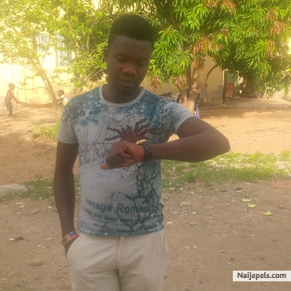 teegold - click for next photo