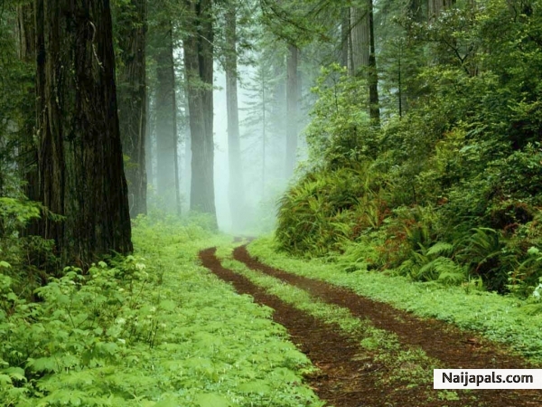 nice nature - click for next photo